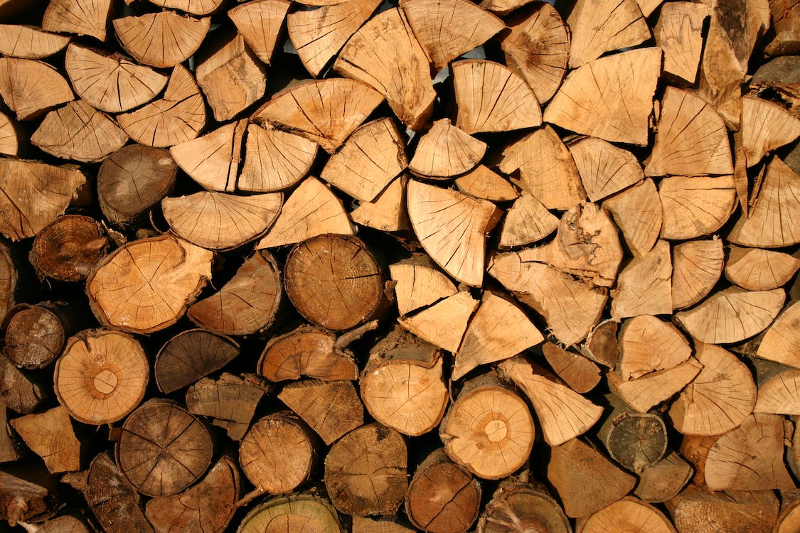 The Heat Is On: 7 Essential Qualities of Premium-Quality Firewood